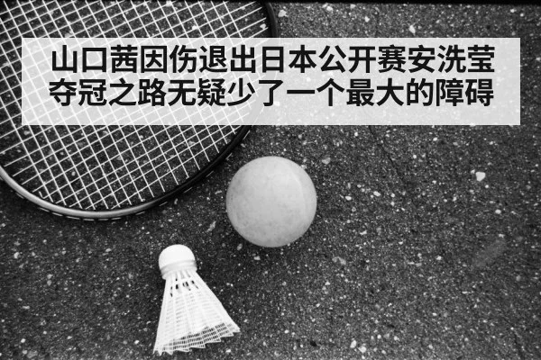 Japan Open badminton