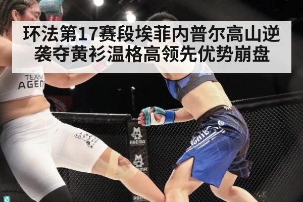 环法第17赛段埃菲内普尔高山逆袭夺黄衫温格高领先优势崩盘